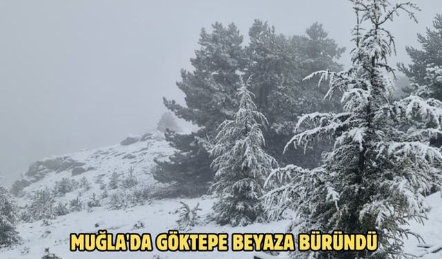 Muğla'da Göktepe beyaza büründü
