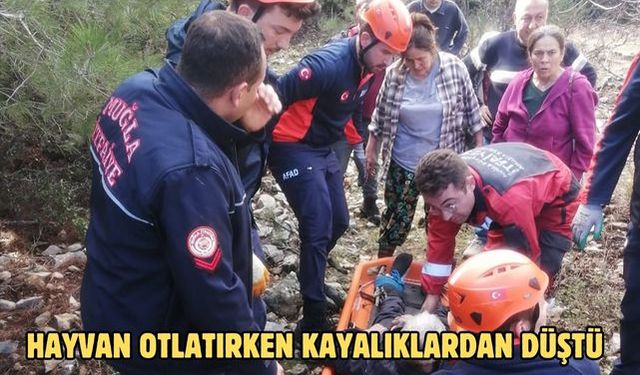 Hayvan otlatırken kayalıklardan düştü