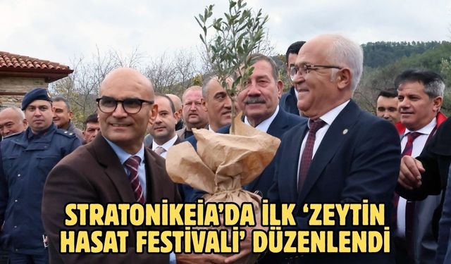 Stratonikeia’da ilk ‘Zeytin Hasat Festivali’ düzenlendi