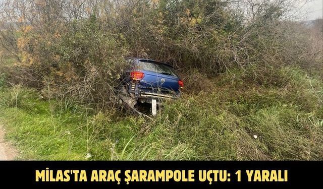 Milas'ta araç şarampole uçtu: 1 yaralı