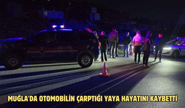 Muğla'da otomobilin çarptığı yaya hayatını kaybetti