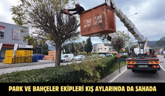 PARK VE BAHÇELER EKİPLERİ KIŞ AYLARINDA DA SAHADA