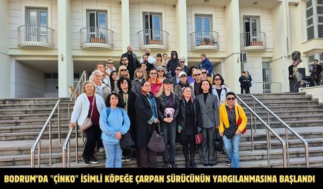 Bodrum’da "Çinko" isimli köpeğe çarpan sürücünün yargılanmasına başlandı