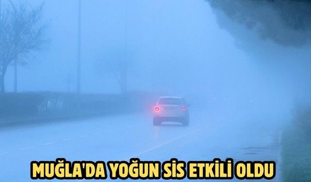 Muğla'da yoğun sis etkili oldu
