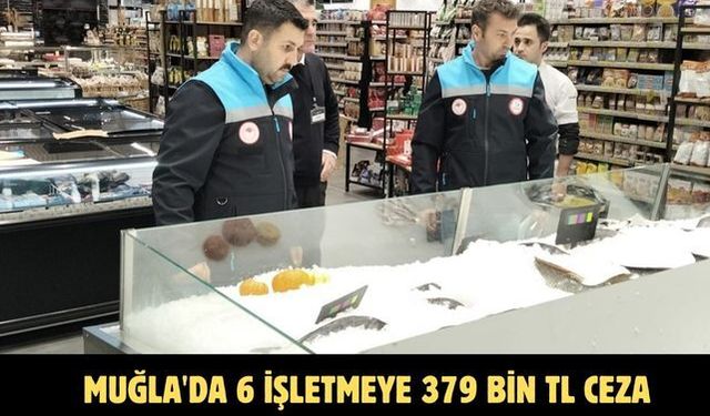 Muğla'da 6 işletmeye 379 bin TL ceza