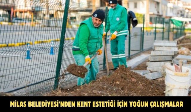 MİLAS BELEDİYESİ’NDEN KENT ESTETİĞİ İÇİN YOĞUN ÇALIŞMALAR