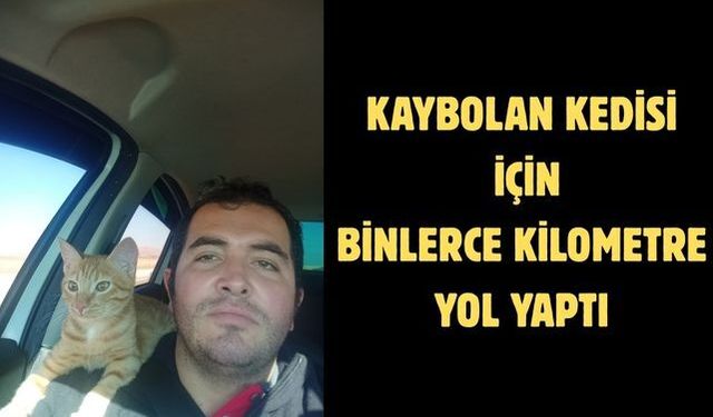 Kaybolan kedisi için binlerce kilometre yol yaptı