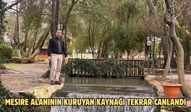 Mesire alanının kuruyan kaynağı tekrar canlandı