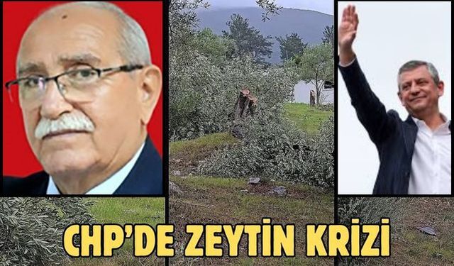 Chp’de zeytin krizi