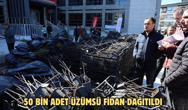 50 bin adet üzümsü fidan dağıtıldı