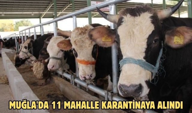 Muğla'da 11 mahalle karantinaya alındı