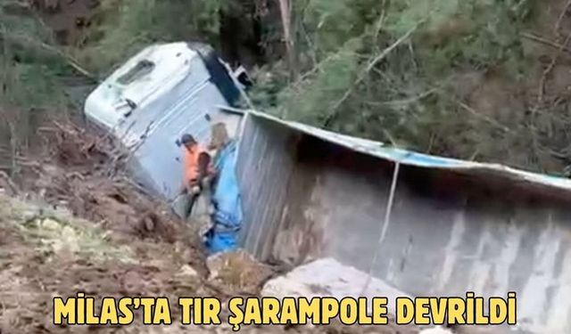 Milas’ta tır şarampole devrildi