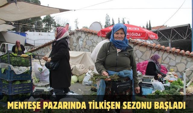Menteşe Pazarında tilkişen sezonu başladı