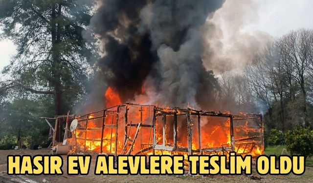 Hasır ev alevlere teslim oldu