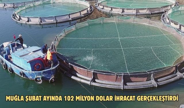 Muğla şubat ayında 102 milyon dolar ihracat gerçekleştirdi