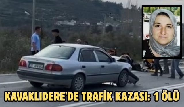 Kavaklıdere'de trafik kazası: 1 ölü