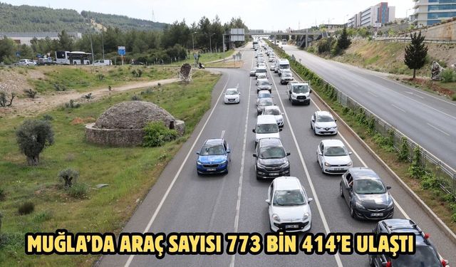 Muğla’da araç sayısı 773 bin 414’e ulaştı
