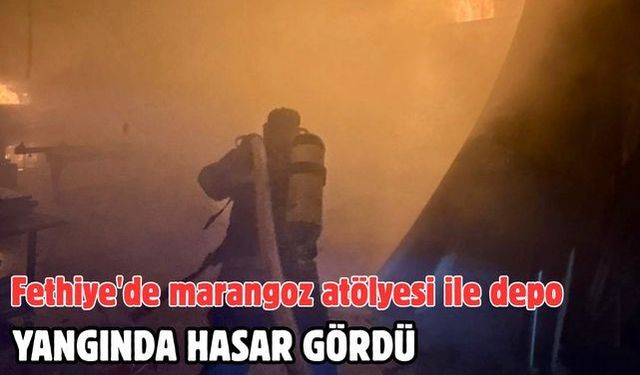 Fethiye'de marangoz atölyesi ile depo yangında hasar gördü