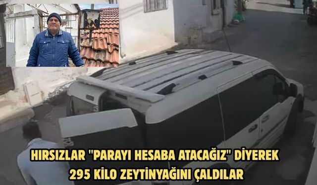 Hırsızlar "Parayı hesaba atacağız" diyerek 295 kilo zeytinyağını çaldılar