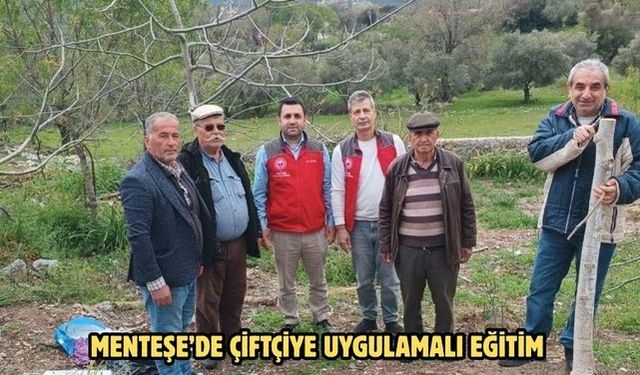Menteşe’de çiftçiye uygulamalı eğitim