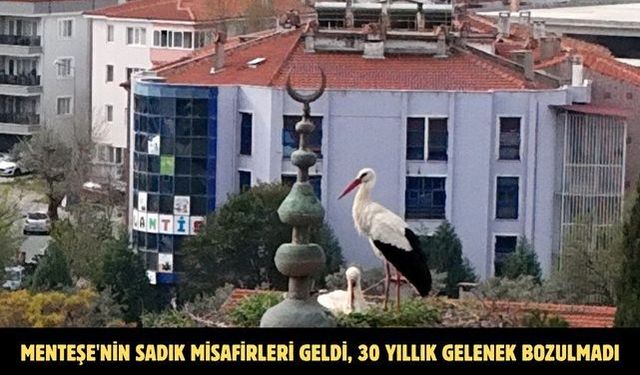 Menteşe'nin sadık misafirleri geldi, 30 yıllık gelenek bozulmadı