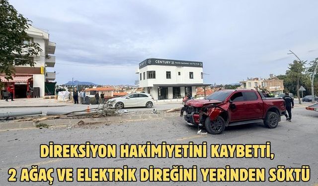 Direksiyon hakimiyetini kaybetti, 2 ağaç ve elektrik direğini yerinden söktü