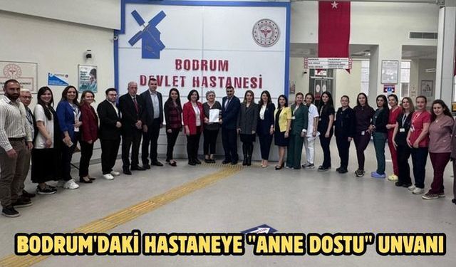 Bodrum'daki hastaneye "anne dostu" unvanı