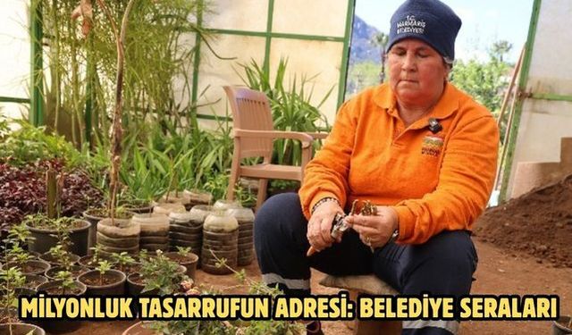 MİLYONLUK TASARRUFUN ADRESİ: BELEDİYE SERALARI