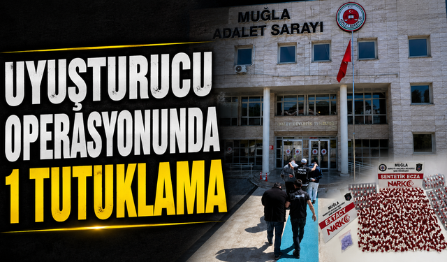 Uyuşturucu operasyonunda 1 tutuklama