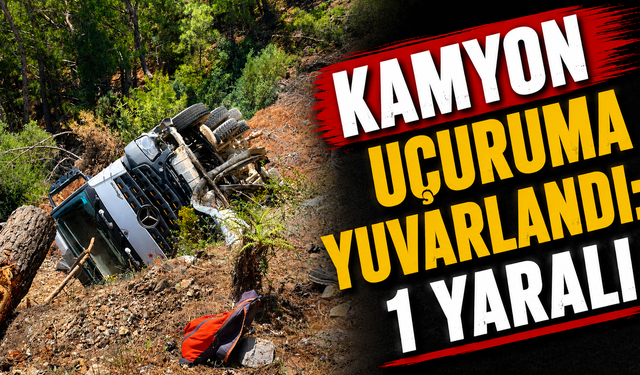 Kamyon uçuruma yuvarlandı: 1 yaralı