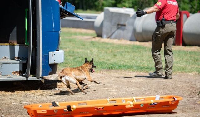 Muğla NAK Arama Kurtarma Köpekleri Macaristan'da sahaya indi