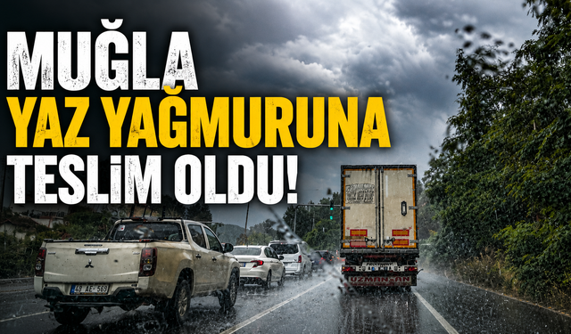 Muğla yaz yağmuruna teslim oldu