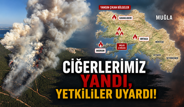 CİĞERLERİMİZ YANDI, YETKİLİLER UYARDI