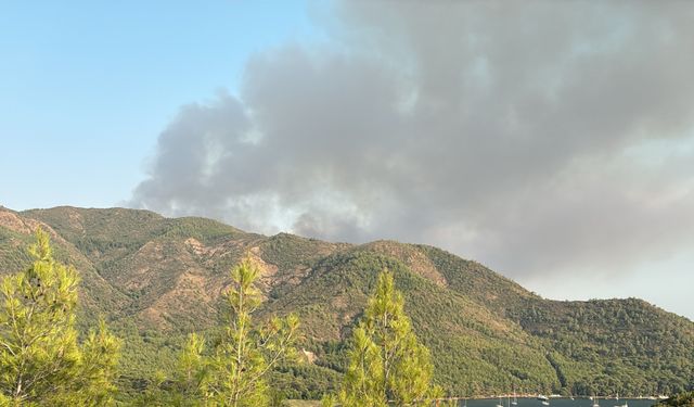 Marmaris'te çıkan orman yangınına müdahale ediliyor