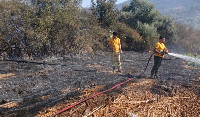 Milas Bafa’da tarım arazisindeki yangın söndürüldü