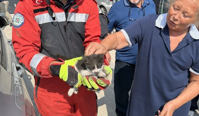 Otomobilin motor bölümüne sıkışan kedi kurtarıldı
