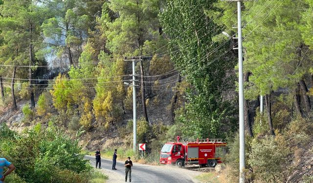 Seydikemer’de orman yangını kontrol altına alındı