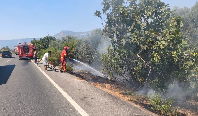 Ula’da yol kenarında başlayan alevler korkuttu