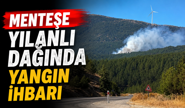 Menteşe Yılanlı dağında yangın ihbarı
