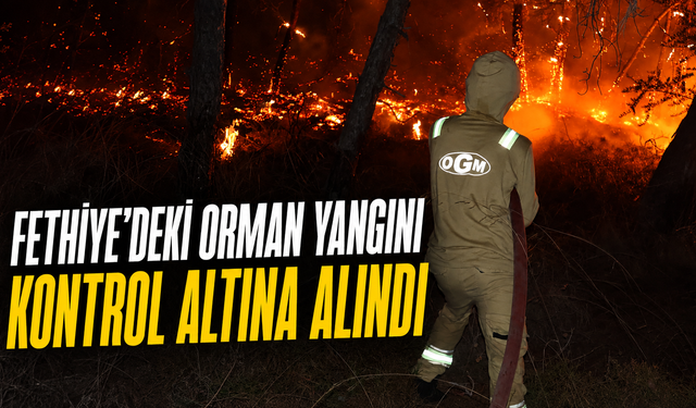 Fethiye'deki orman yangını kontrol altına alındı
