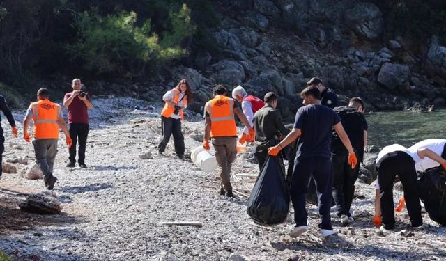 Gökova Körfezi'ndeki koylarda temizlik yapıldı