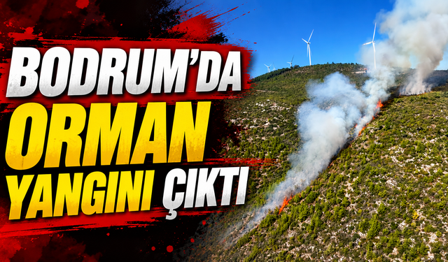 Bodrum’da orman yangını çıktı