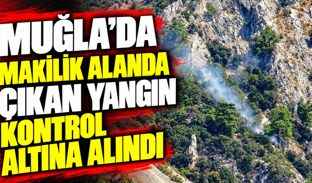 Muğla’da makilik alanda çıkan yangın kontrol altına alındı
