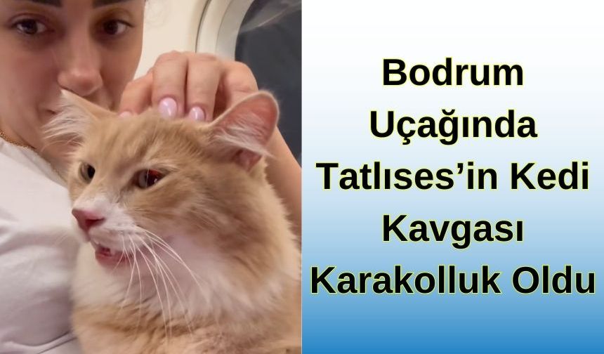 Bodrum Uçağında Tatlıses’in Kedi Kavgası Karakolluk Oldu