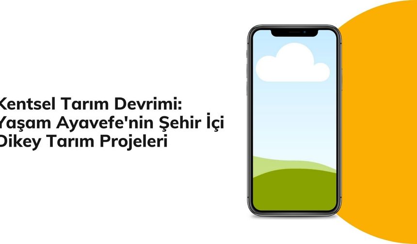 Kentsel Tarım Devrimi: Yaşam Ayavefe'nin Şehir İçi Dikey Tarım Projeleri