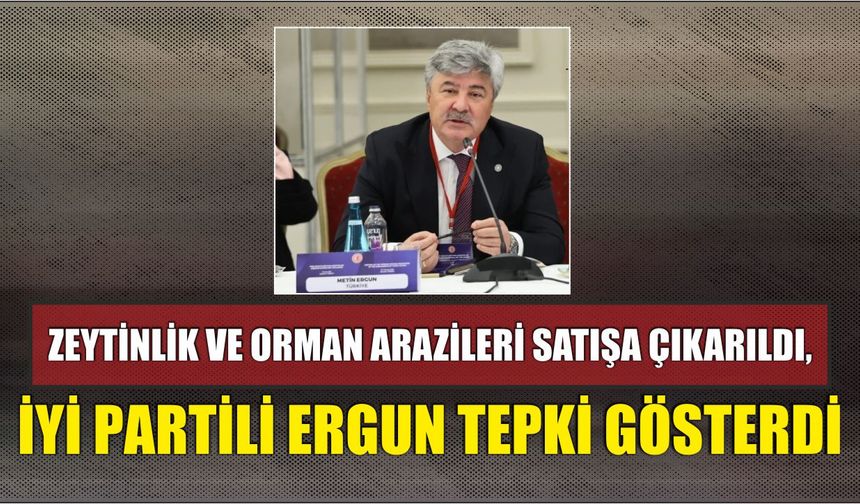 Zeytinlik ve Orman Arazileri Satışa Çıkarıldı, İYİ Partili Ergun Tepki Gösterdi