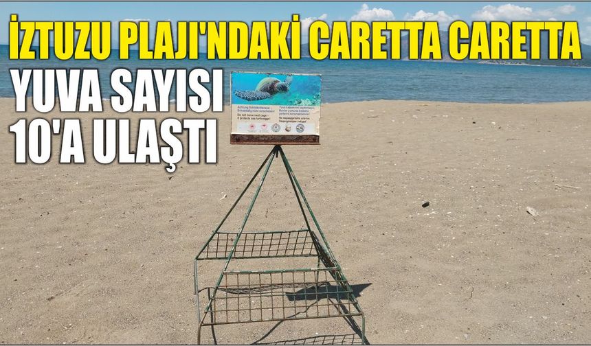 İztuzu Plajı'ndaki caretta caretta yuva sayısı 10'a ulaştı