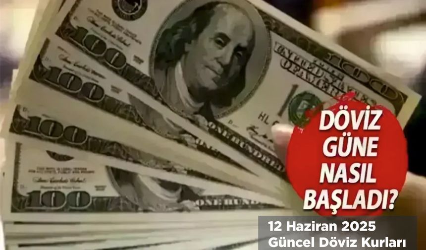 12 Haziran 2025 Güncel Döviz Kurları