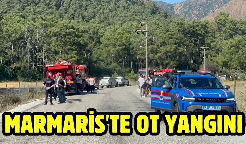 Marmaris'te ot yangını