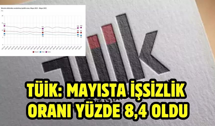 TÜİK: Mayısta işsizlik oranı yüzde 8,4 oldu